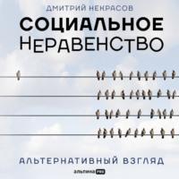Социальное неравенство. Альтернативный взгляд, аудиокнига Дмитрия Некрасова. ISDN67247271