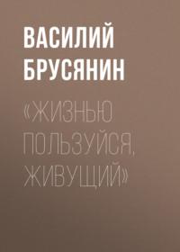 «Жизнью пользуйся, живущий» - Василий Брусянин
