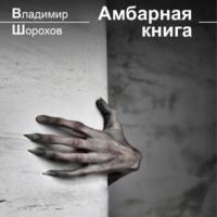 Амбарная книга - Владимир Шорохов