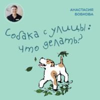 Собака с улицы: что делать?, аудиокнига Анастасии Бобковой. ISDN68797929