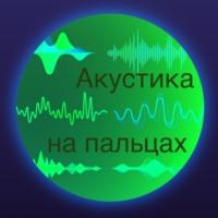 Акустика на пальцах, аудиокнига Михаила Кушнира. ISDN69122035