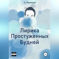 Лирика Простуженных Будней, аудиокнига Александра Медведева. ISDN69174238