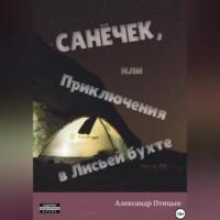 Санёчек, или Приключения в Лисьей бухте, аудиокнига Александра Лебедева. ISDN69195400
