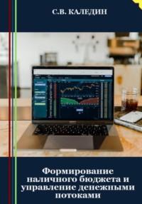 Формирование наличного бюджета и управление денежными потоками, аудиокнига Сергея Каледина. ISDN69204070