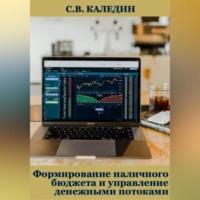 Формирование наличного бюджета и управление денежными потоками, аудиокнига Сергея Каледина. ISDN69252769