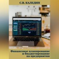Финансовое планирование и бюджетирование на предприятии - Сергей Каледин