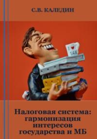 Налоговая система: гармонизация интересов государства и МБ - Сергей Каледин