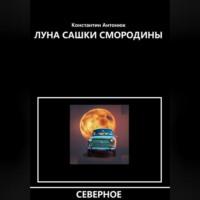 Луна Сашки Смородины, аудиокнига Константина Антонюка. ISDN69274219