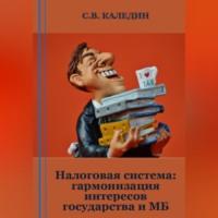 Налоговая система: гармонизация интересов государства и МБ - Сергей Каледин