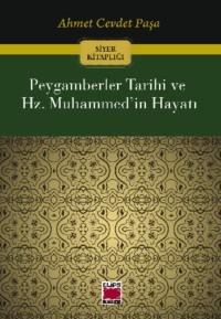 Peygamberler Tarihi ve Hz. Muhammed’in Hayatı - Ahmet Cevdet Paşa