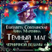 Темный маг для Черничной ведьмы - Елизавета Соболянская