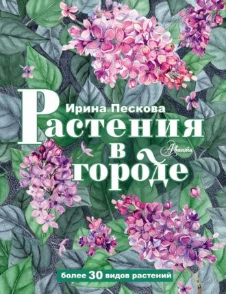 Растения в городе - Ирина Пескова