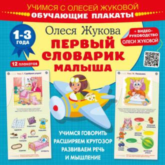 Первый словарик малыша. Обучающие плакаты, аудиокнига Олеси Жуковой. ISDN69608995