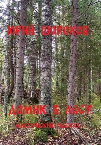 Домик в лесу - Юрий Шорохов