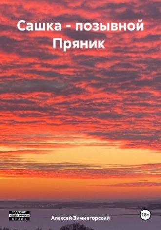Сашка – позывной Пряник, аудиокнига Алексея Зимнегорского. ISDN70323199