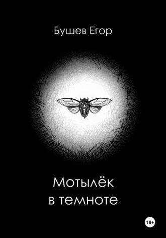 Мотылёк в темноте, аудиокнига Егора Бушева. ISDN70402681