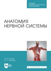 Анатомия нервной системы. Учебное пособие для СПО, аудиокнига О. В. Калмина. ISDN70406215