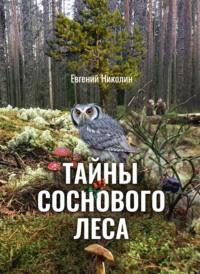 Тайны соснового леса - Евгений Николин