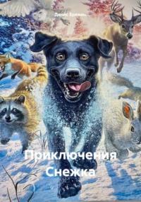 Приключения Снежка - Денис Еремин