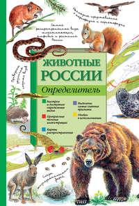 Животные России. Определитель - Петр Волцит