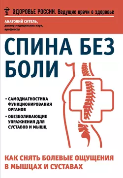 Спина без боли. Как снять болевые ощущения в мышцах и суставах - Анатолий Ситель