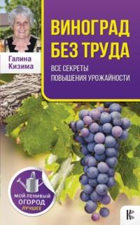 Виноград без труда - Галина Кизима