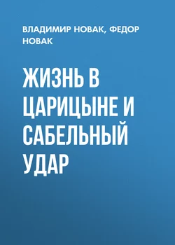 Жизнь в Царицыне и сабельный удар - Владимир Новак