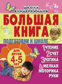 Большая книга подготовки к школе для детей 4-5 лет. Чтение, счет, логика, мелкая моторика руки - Светлана Гаврина