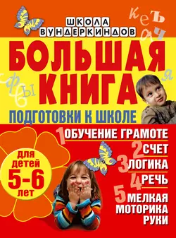 Большая книга подготовки к школе для детей 5-6 лет. Обучение грамоте, счет, логика, речь, мелкая моторика руки - Светлана Гаврина