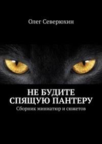 Не будите спящую пантеру. Сборник миниатюр и сюжетов - Олег Северюхин