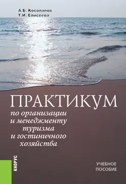 Практикум по организации и менеджменту туризма и гостиничного хозяйства - Татьяна Елисеева