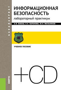 Информационная безопасность. Практикум - Елена Баранова