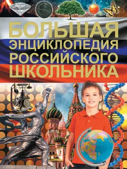 Большая энциклопедия российского школьника - Дмитрий Туровец