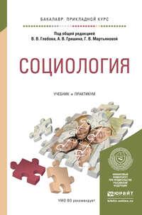 Социология. Учебник и практикум для прикладного бакалавриата - Владимир Лабекин