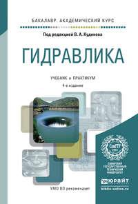 Гидравлика 4-е изд., пер. и доп. Учебник и практикум для академического бакалавриата - Василий Кудинов