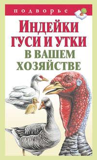 Индейки, гуси и утки в вашем хозяйстве, książka audio Тамары Мороз. ISDN13762938