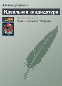 Идеальная кандидатура, audiobook Александра Громова. ISDN140991