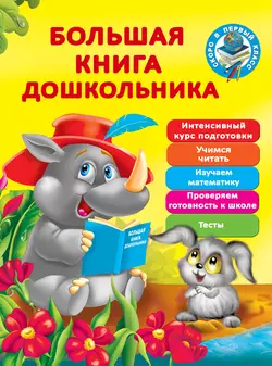 Большая книга дошкольника - Валентина Дмитриева