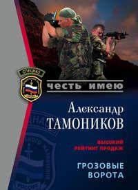 Грозовые ворота, audiobook Александра Тамоникова. ISDN147476