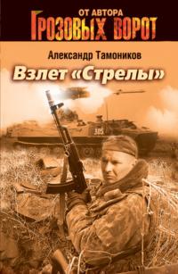 Взлет «Стрелы», audiobook Александра Тамоникова. ISDN162639