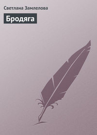 Бродяга, audiobook Светланы Замлеловой. ISDN168804