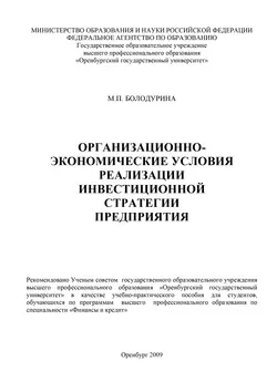 Организационно-экономические условия реализации инвестиционной стратегии предприятия - М. Болодурина