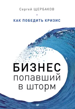 Бизнес, попавший в шторм. Как победить кризис, аудиокнига Сергея Щербакова. ISDN17146029