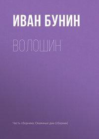 Волошин, książka audio Ивана Бунина. ISDN173171