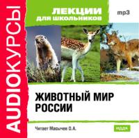 Животный мир России, аудиокнига Коллектива авторов. ISDN175555