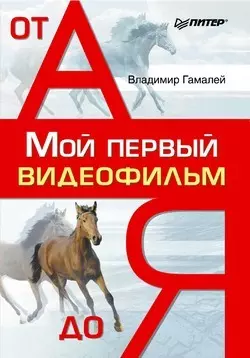 Мой первый видеофильм от А до Я, аудиокнига Владимира Гамалея. ISDN175798