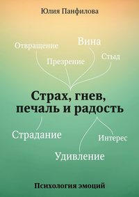 Страх, гнев, печаль и радость, аудиокнига Юлии Панфиловой. ISDN17711773