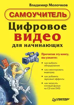 Цифровое видео для начинающих, аудиокнига Владимира Молочкова. ISDN178069