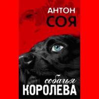 Собачья королева, książka audio Антона Сои. ISDN17855975