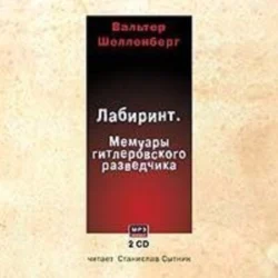 Лабиринт. Мемуары гитлеровского разведчика - Вальтер Шелленберг